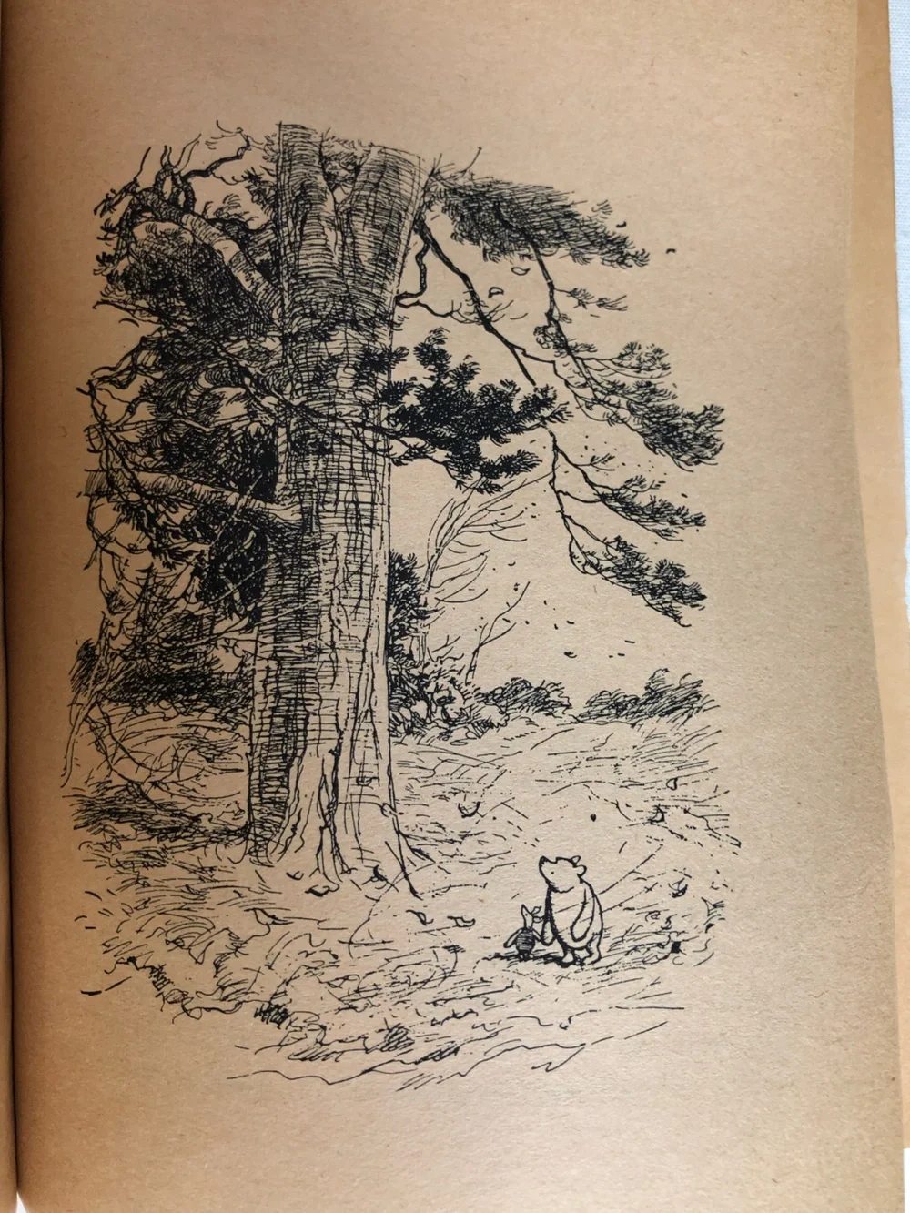 Vintage 1963 Dr. Seuss’s ABC & Children’s Book Bundle